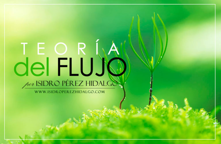 TEORÍA DEL FLUJO o FLOW